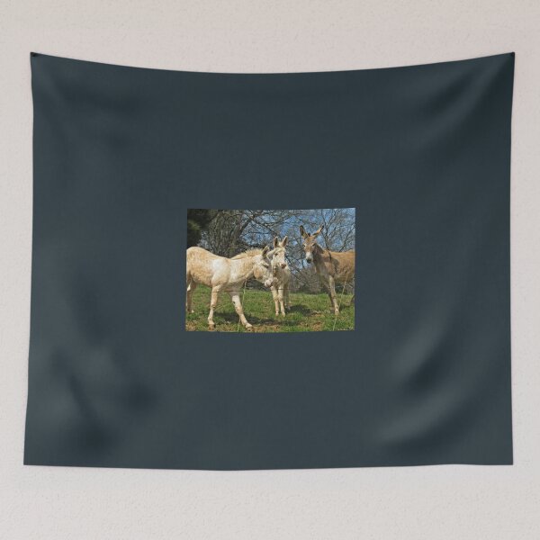 Item preview, "SIX EARS ARE BETTER THAN TWO"... prints and products designed and sold by Bob Hall©.