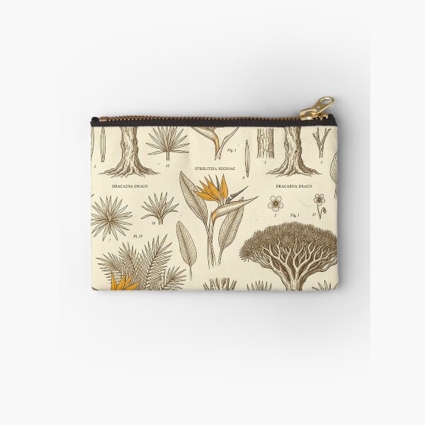Item preview, Vintage Botanical Illustration Canary Islands Flora Dragon Tree Pattern designed and sold by MT-Hub | Cute Aesthetic Art, Stickers & Phone Cases.
