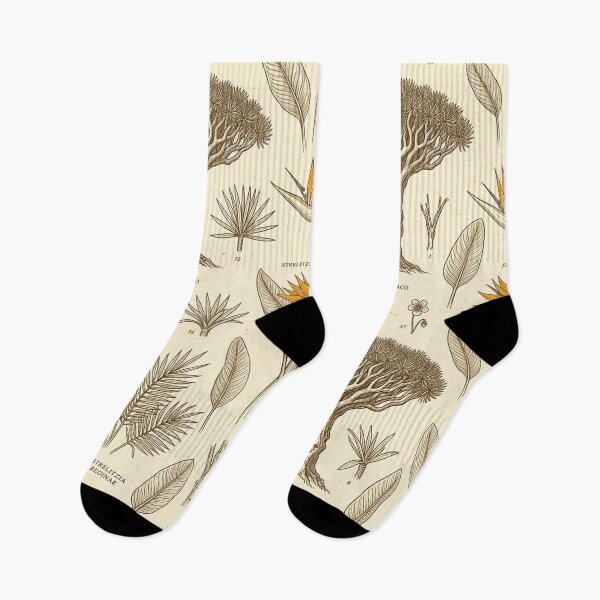 Item preview, Vintage Botanical Illustration Canary Islands Flora Dragon Tree Pattern designed and sold by MT-Hub | Cute Aesthetic Art, Stickers & Phone Cases.