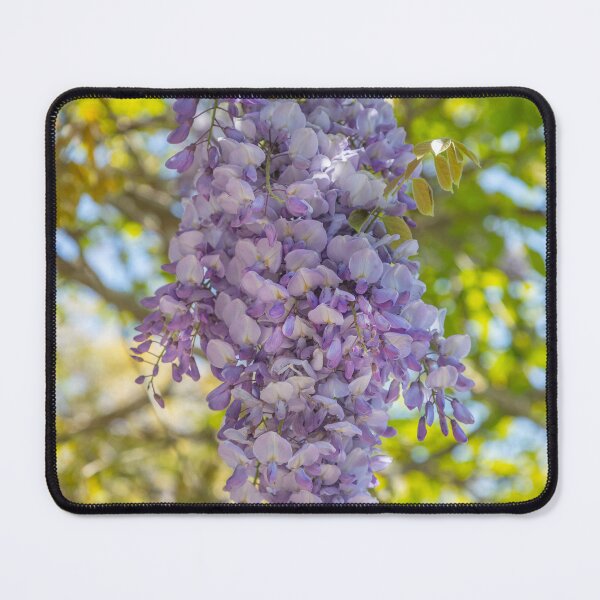 Item preview, Purple Wisteria Blossom designed and sold by Dave Hare Photography.