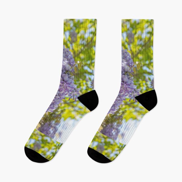 Item preview, Purple Wisteria Blossom designed and sold by Dave Hare Photography.