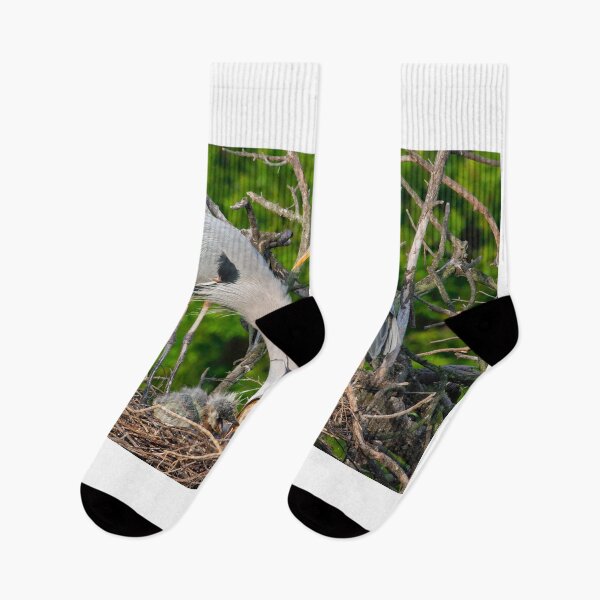 Item preview, Great Blue Heron Regurgitating designed and sold by Gerard Fornarotto.