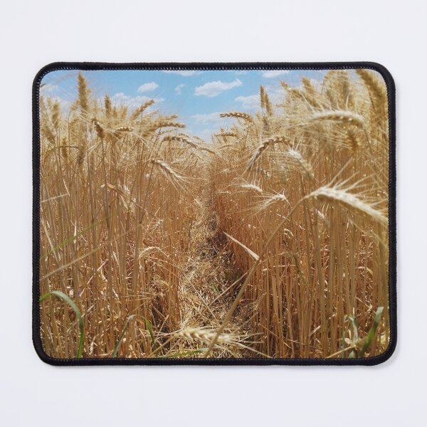 Item preview, Golden Wheat Field designed and sold by inspiration3.