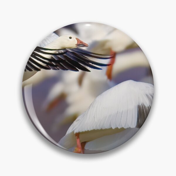 Item preview, Snow Geese Take Off designed and sold by Gerard Fornarotto.