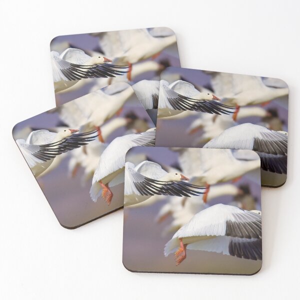 Item preview, Snow Geese Take Off designed and sold by Gerard Fornarotto.