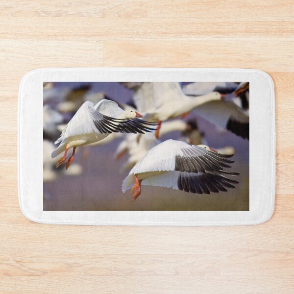 Item preview, Snow Geese Take Off designed and sold by Gerard Fornarotto.