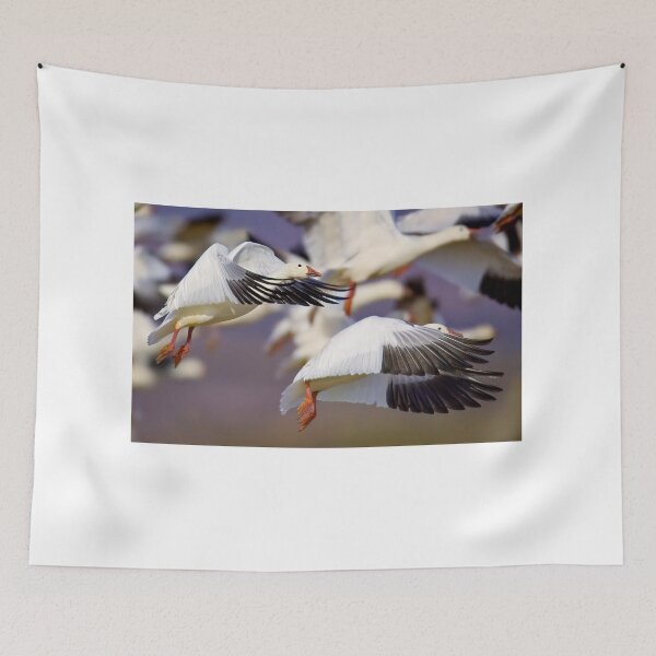Item preview, Snow Geese Take Off designed and sold by Gerard Fornarotto.