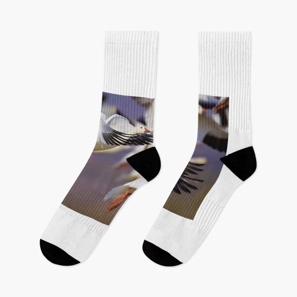 Item preview, Snow Geese Take Off designed and sold by Gerard Fornarotto.