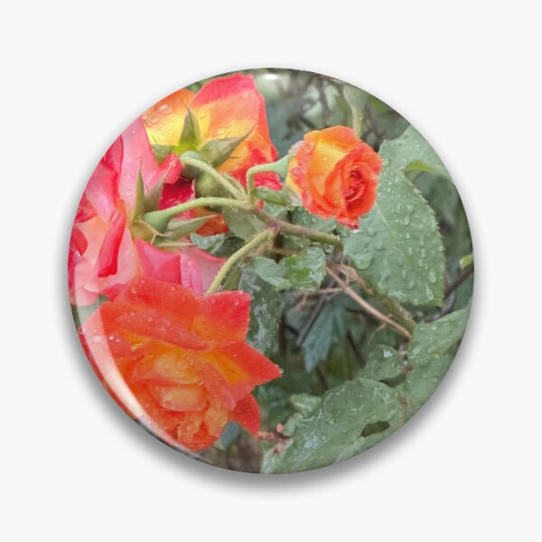 Item preview, Fresh Roses After Rainfall. designed and sold by Pearls1.