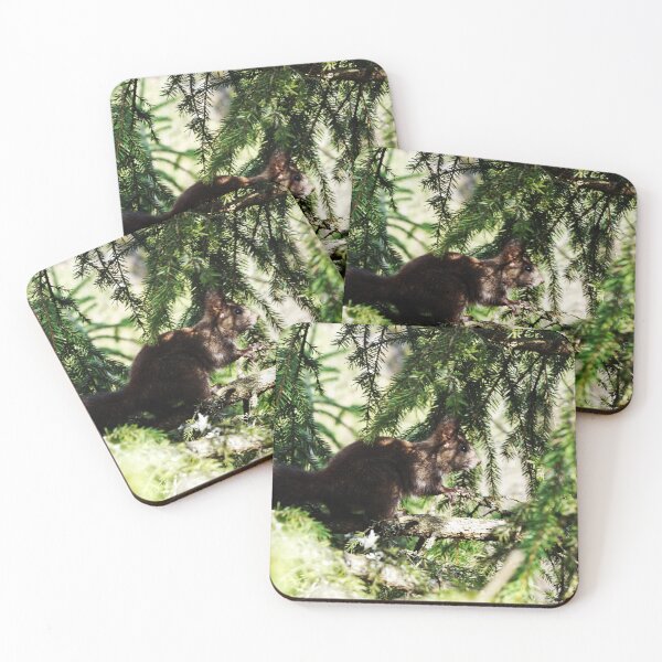 Item preview, Camouflaged squirrel designed and sold by GSA ColdPlayView.