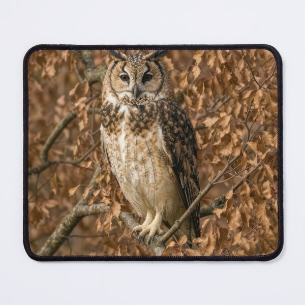 Item preview, Long-eared Owl Camouflaged in Brown Leaves designed and sold by Maria Dryfhout.