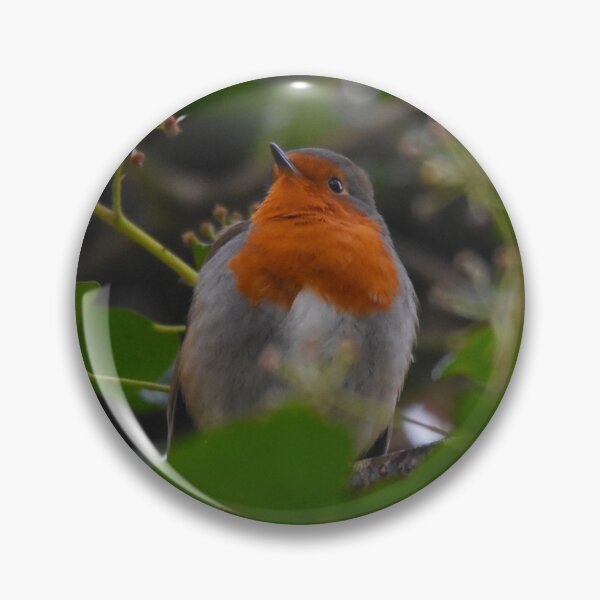 Item preview, European Robin Nestled Among Lush Green Foliage designed and sold by Shanguai.