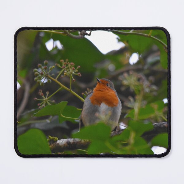 Item preview, European Robin Nestled Among Lush Green Foliage designed and sold by Shanguai.