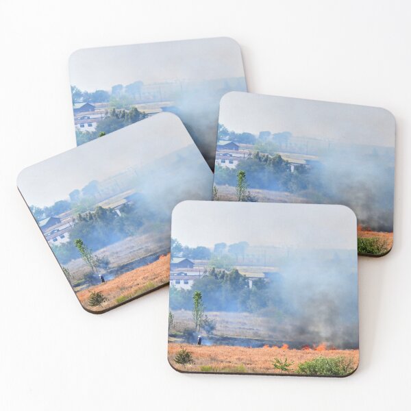 Item preview, Highveld Agriculture: Controlled Block Burning near Middelburg designed and sold by JaneFlowersAfrica.