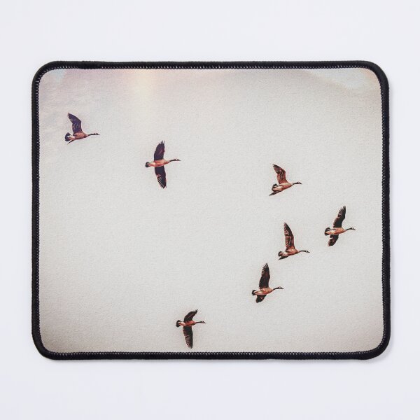 Item preview, Flight Of The Seven designed and sold by Jim Love.