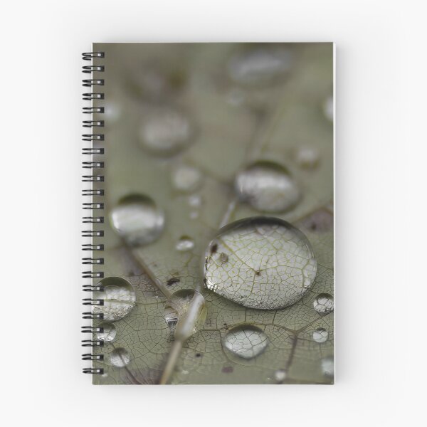 Item preview, Biodome designed and sold by RickThomason.