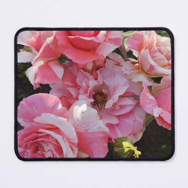 Item preview, Beautiful Neil Diamond Roses – Close-Up Floral Photography designed and sold by inspiration3.