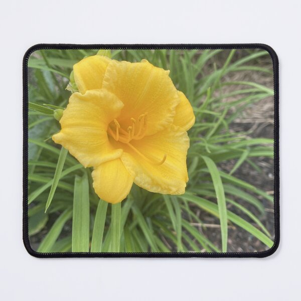 Item preview, This Pretty Daylily designed and sold by Mychaila's Creations.