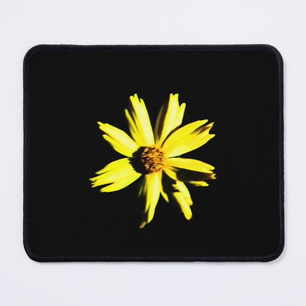 Item preview, Golden Radiance: Yellow Wildflower Isolated on Black. designed and sold by JaneFlowersAfrica.