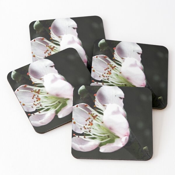 Item preview, Ethereal Spring: A Pale Peach Blossom Study designed and sold by JaneFlowersAfrica.