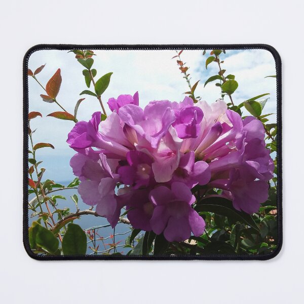 Item preview, Garlic Vine Blossom designed and sold by Farbfroh.