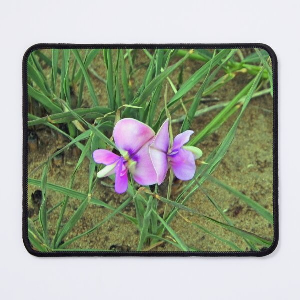 Item preview, Desert Jewels: Purple Wildflowers in the Grass designed and sold by JaneFlowersAfrica.