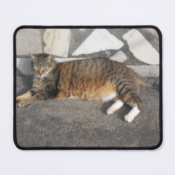 Item preview, Cat Schnitzel chilling designed and sold by Farbfroh.
