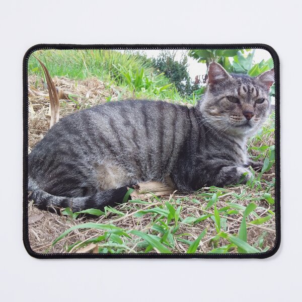 Item preview, Nino in the plantation designed and sold by Farbfroh.