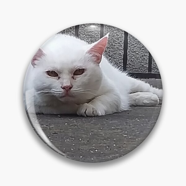 Item preview, Pira the cat in a state of alert designed and sold by Farbfroh.