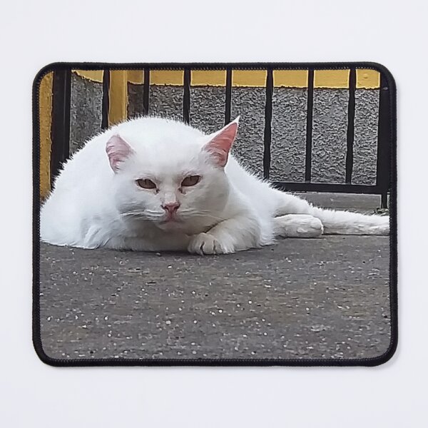 Item preview, Pira the cat in a state of alert designed and sold by Farbfroh.