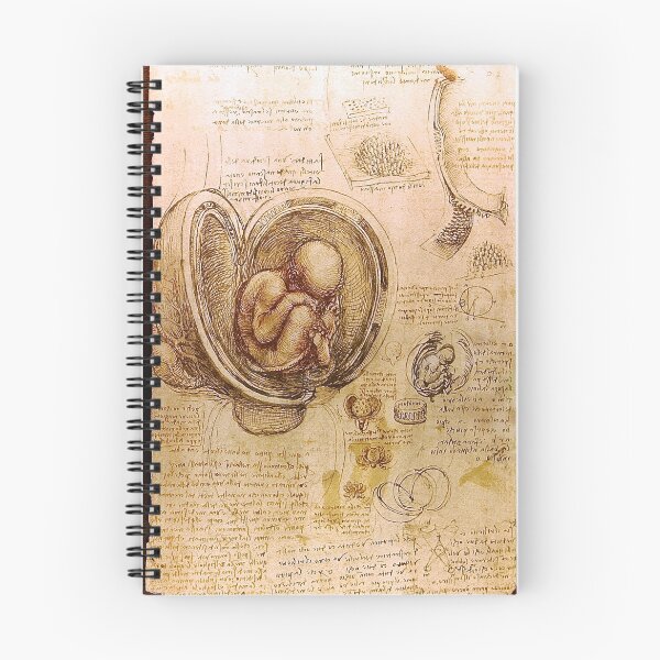 Item preview, Historical Da Vinci Studies of Embryos designed and sold by HighIQHistory.