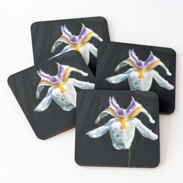 Item preview, African Iris Raindrops designed and sold by Kay Brewer.