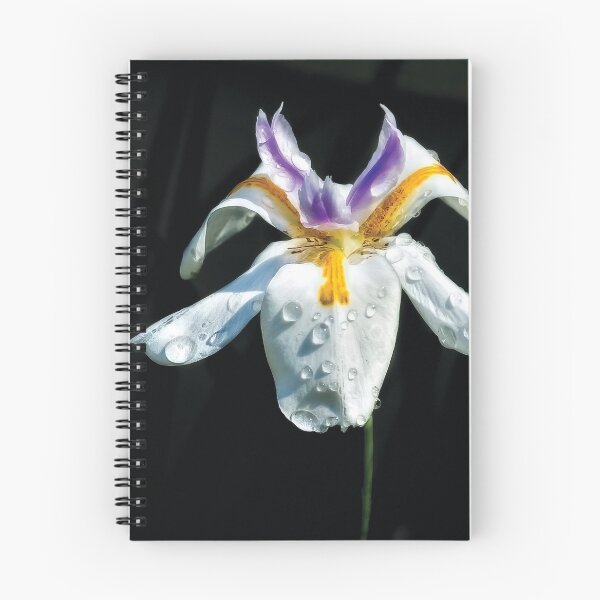 Item preview, African Iris Raindrops designed and sold by Kay Brewer.