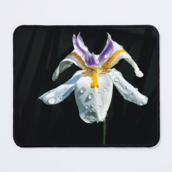 Item preview, African Iris Raindrops designed and sold by Kay Brewer.