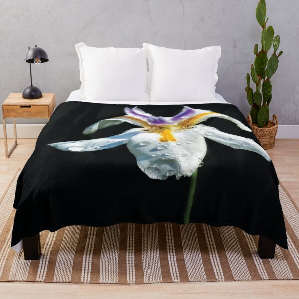 Item preview, African Iris Raindrops designed and sold by Kay Brewer.
