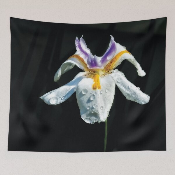 Item preview, African Iris Raindrops designed and sold by Kay Brewer.