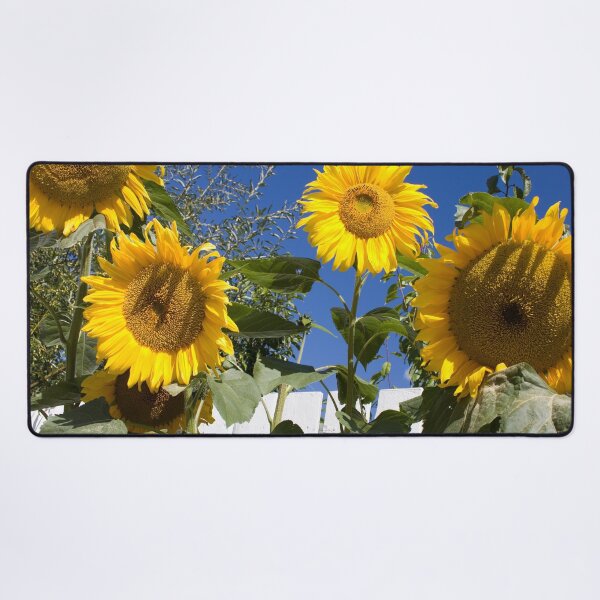 Item preview, Hello, Dolly! | Sun-Kissed Sunflowers - Bright Summer Floral Photography designed and sold by Lainey1978.