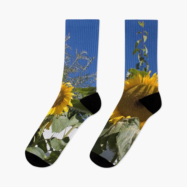 Item preview, Hello, Dolly! | Sun-Kissed Sunflowers - Bright Summer Floral Photography designed and sold by Lainey1978.