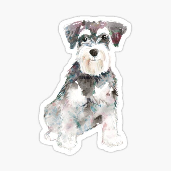 Miniature Schnauzer dog watercolour illustration Sticker