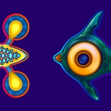 Artwork thumbnail, Friendly Fish Multipack by RorisRealms