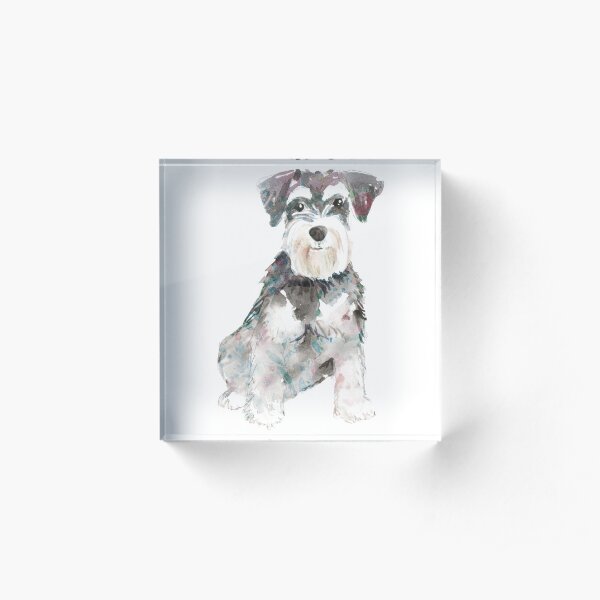 Miniature Schnauzer dog watercolour illustration Acrylic Block
