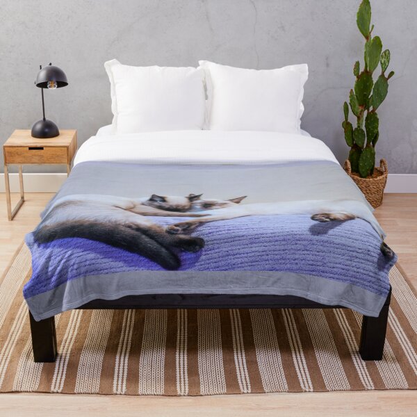 Aperçu de l'œuvre Animaux de compagnie Chats siamois mignons créée et vendue par StylishDecor.