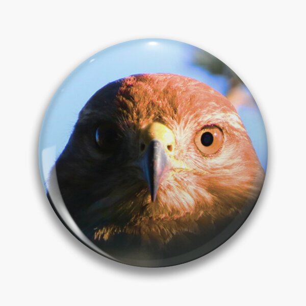 Item preview, A buzzard designed and sold by Jonas Petracic.