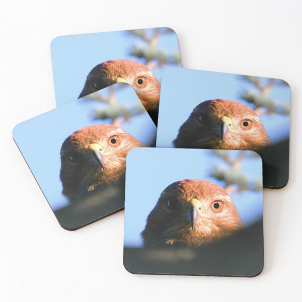 Item preview, A buzzard designed and sold by Jonas Petracic.