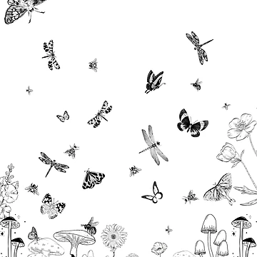 Artwork thumbnail, Bug Life by Alchemyst’s Cove