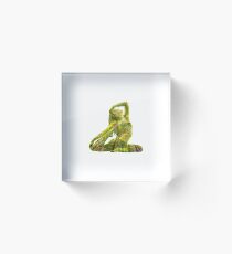 Nature Yoga King Pigeon Pose Acrylic Block
