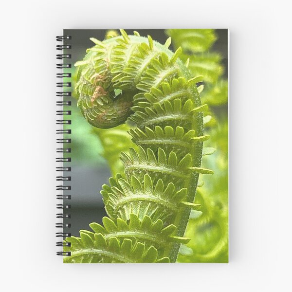 Item preview, The Fiddlehead  designed and sold by BlindEye1.