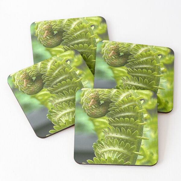 Item preview, The Fiddlehead  designed and sold by BlindEye1.