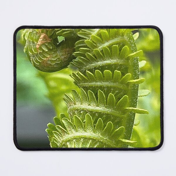 Item preview, The Fiddlehead  designed and sold by BlindEye1.
