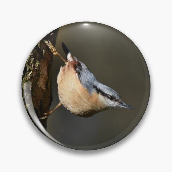 Item preview, Eurasian Nuthatch Descending Tree Trunk With Food designed and sold by Shanguai.